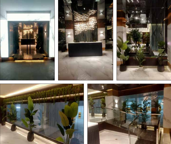Gallery Images